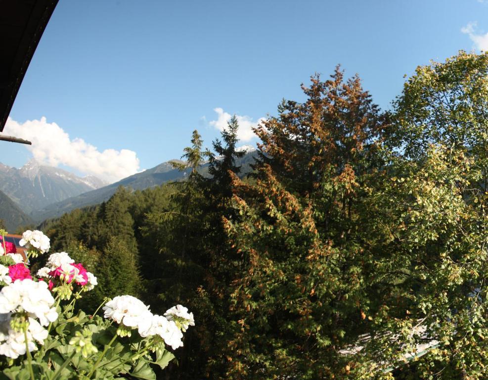 Apart Tuxertal Finkenberg Kamer foto